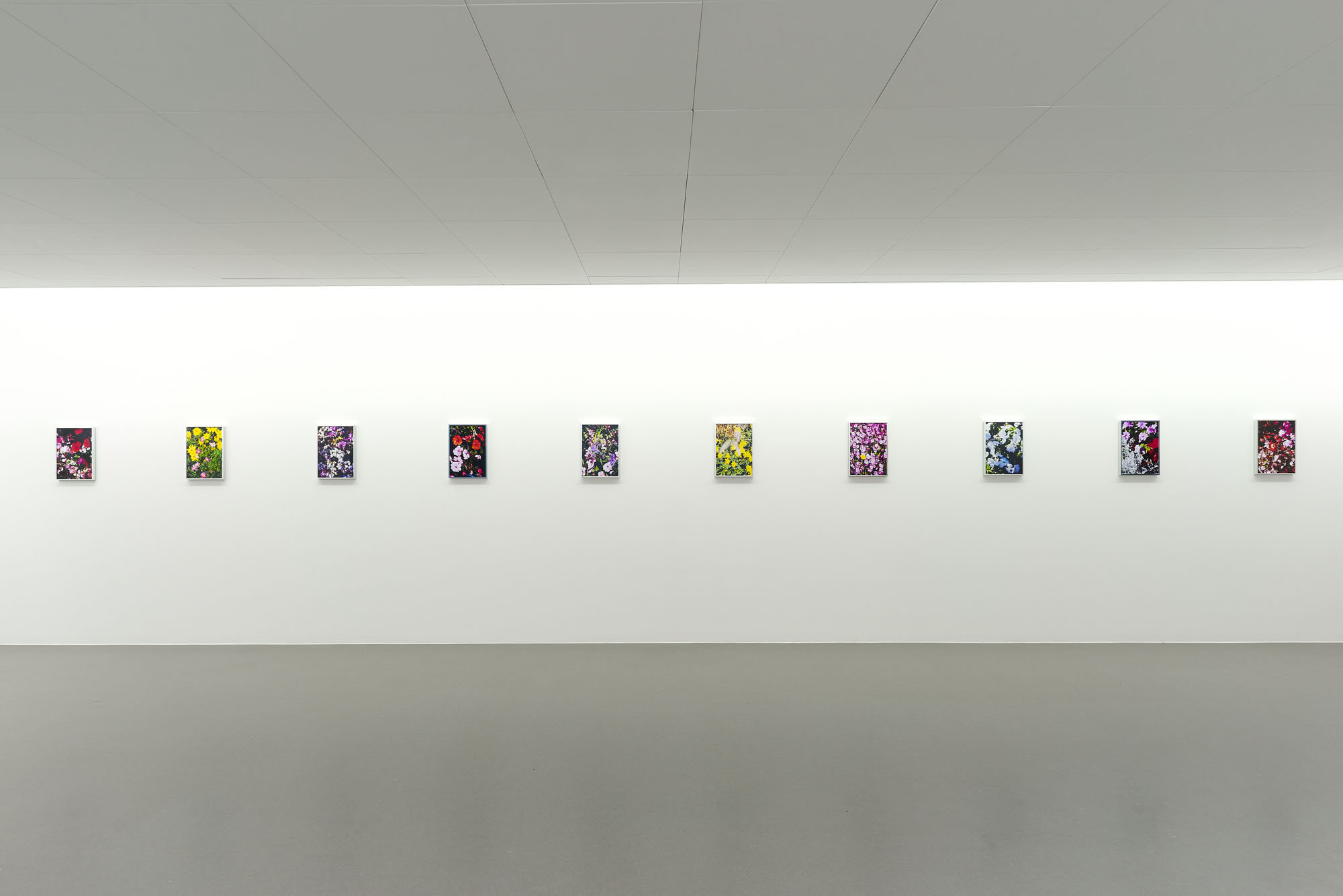 Indergand & Ehrengruber Museum Haus für Kunst Uri, Altdorf